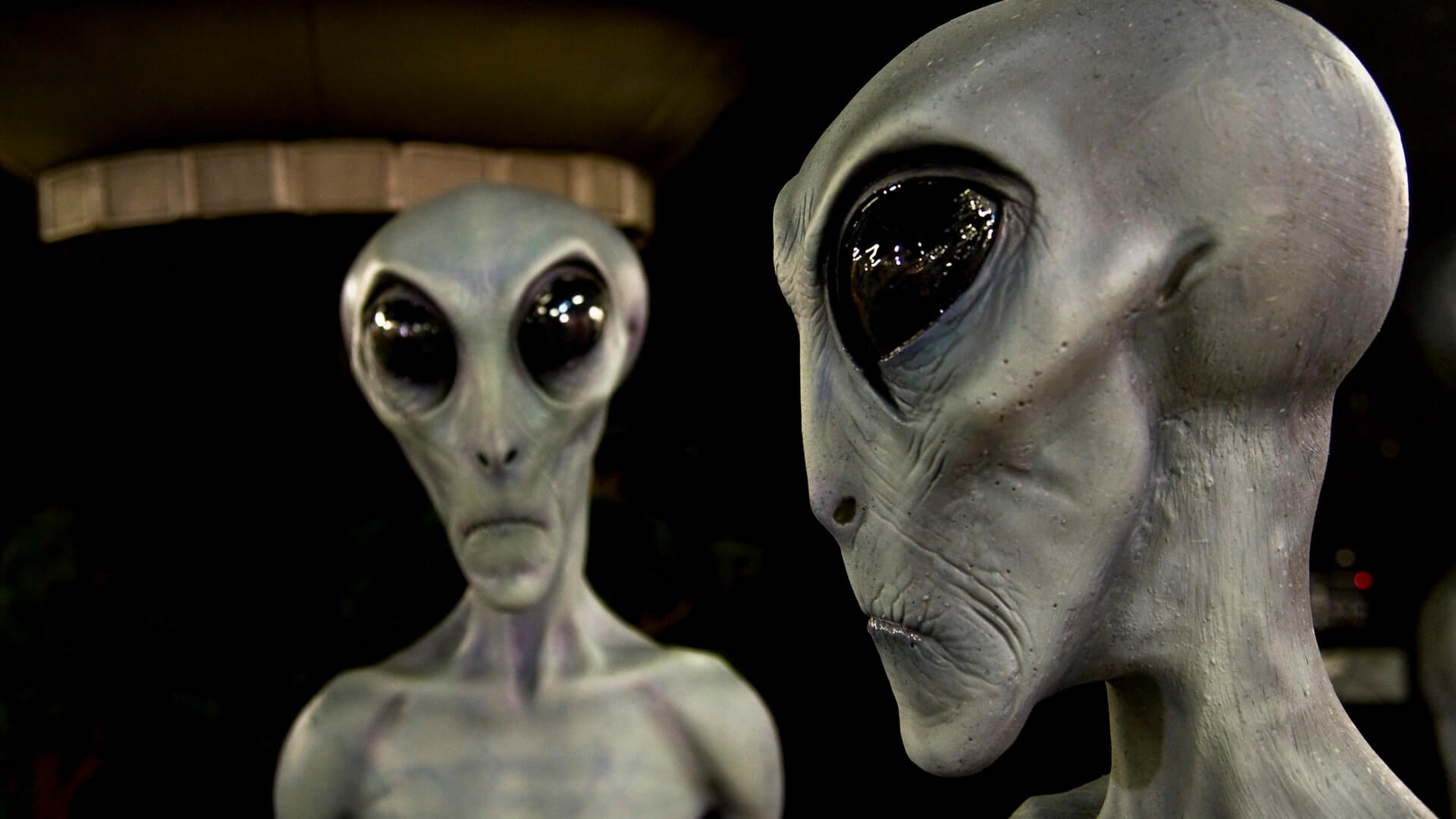 Кто верит в теории заговора и почему? Кстати, некоторые сторонники теорий заговора верят, что нашу цивилизацию давным давно поработили инопланетяне. Фото.