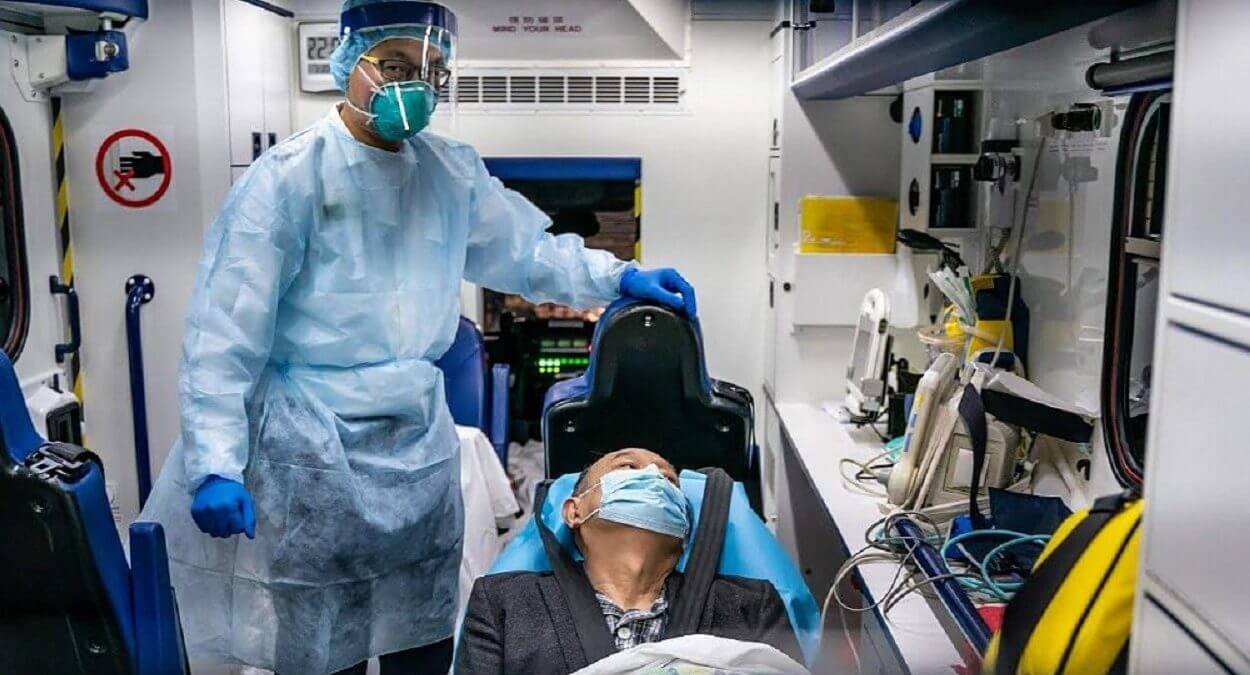 Панголины и летучие мыши — носители коронавируса? На момент написания этой статьи коронавирус унес жизни больше 1000 человек. Фото.