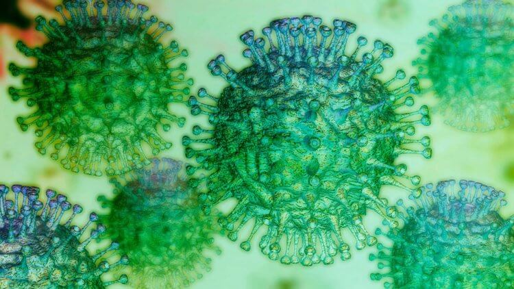 Мифы о COVID-2019: можно ли лечить коронавирус мегадозированием витамина С? Чего только не пишут в этих ваших интернетах. А так выглядит коронавирус под микроскопом. Фото.