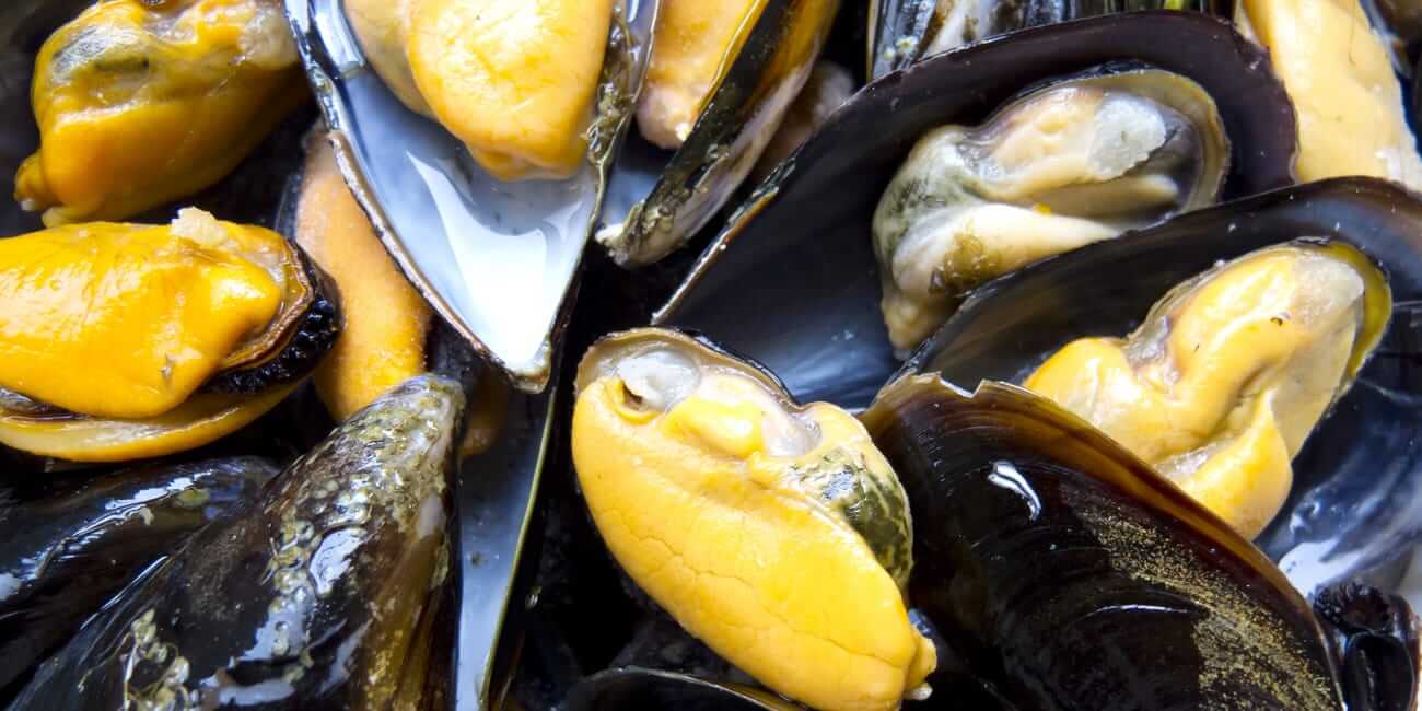 Найдено доказательство того, что повышение температуры воды убивает животных. В Новой Зеландии обнаружено 500 000 мертвых мидий. Найдено доказательство того, что повышение температуры воды убивает животных. В Новой Зеландии обнаружено 500 000 мертвых мидий. Фото.