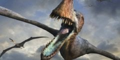 Найден зуб динозавра, застрявший в теле кальмара. Почему это уникальная находка? Фото.