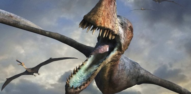 Найден зуб динозавра, застрявший в теле кальмара. Почему это уникальная находка? Некоторые кальмары были птерозаврам буквально не по зубам. Фото.