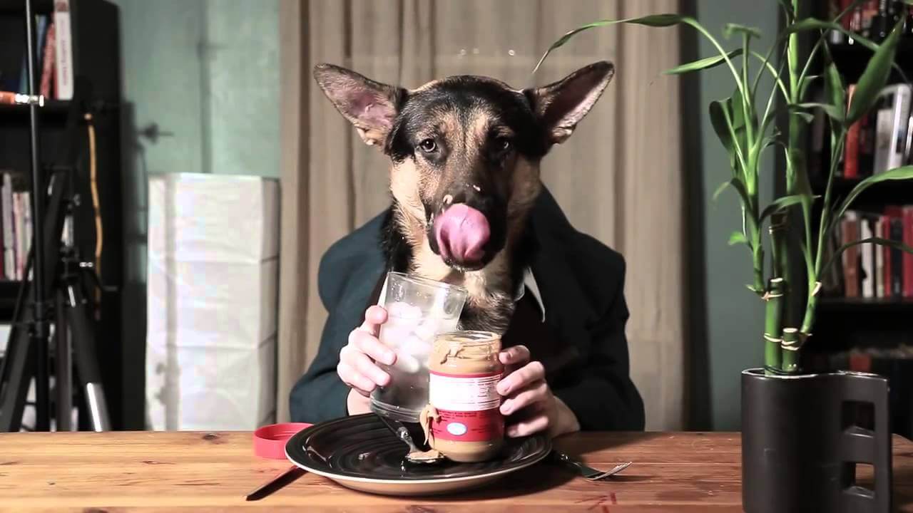 Почему пища, которую едят руками, кажется вкуснее? Есть предположение, что есть руками гораздо вкуснее, чем столовыми приборами. Фото.