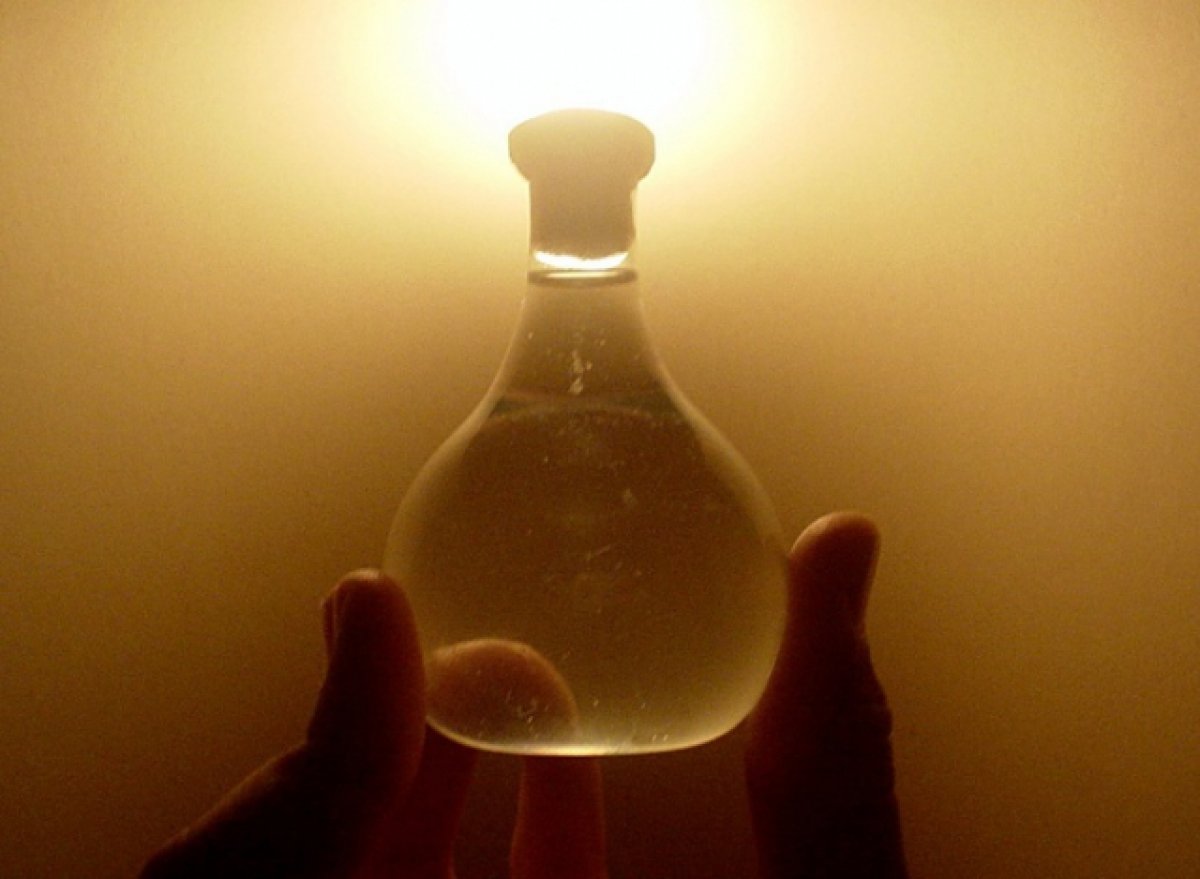 Как сохранить молодость? Элексир молодости может скрываться в организме некоторых животных. Фото.