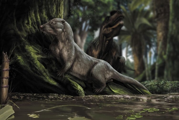 Какие млекопитающие жили вместе с динозаврами? Ранние млекопитающие сосуществовали с пернатыми динозаврами, такими как Sinotyrannus, в умеренных экосистемах мелового периода на территории современного Ляонина на севере Китая. Фото.