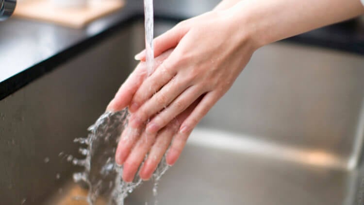 Жители каких стран реже всего моют руки? Голландцы реже всех моют свои руки. Фото.