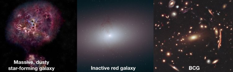 Вечеринка, которая внезапно закончилась. Этот набор изображений показывает возможную эволюцию XMM-2599 от массивной пыльной галактики, образующей звезды (слева), до неактивной красной галактики (в центре) и затем, возможно, превращения в галактику с яркими скоплениями (справа). Фото.