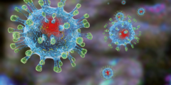 Можно ли сдержать коронавирус от распространения? Фото.