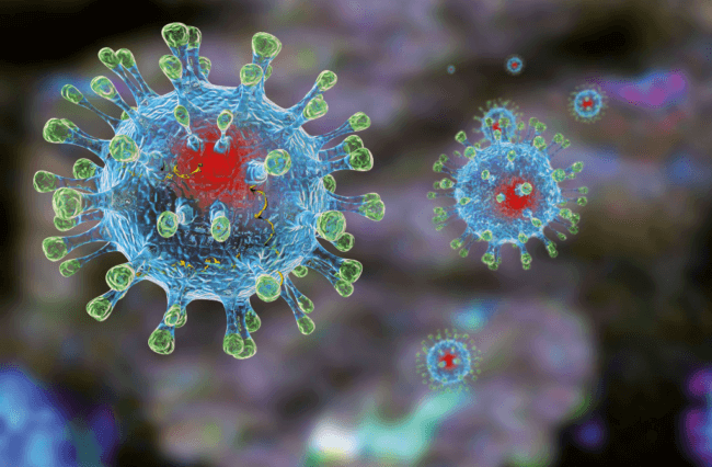 Можно ли сдержать коронавирус от распространения? Фото.
