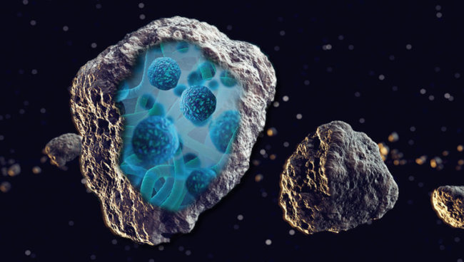 Мог ли новый обнаруженный вирус попасть на Землю с метеоритом? Фото.