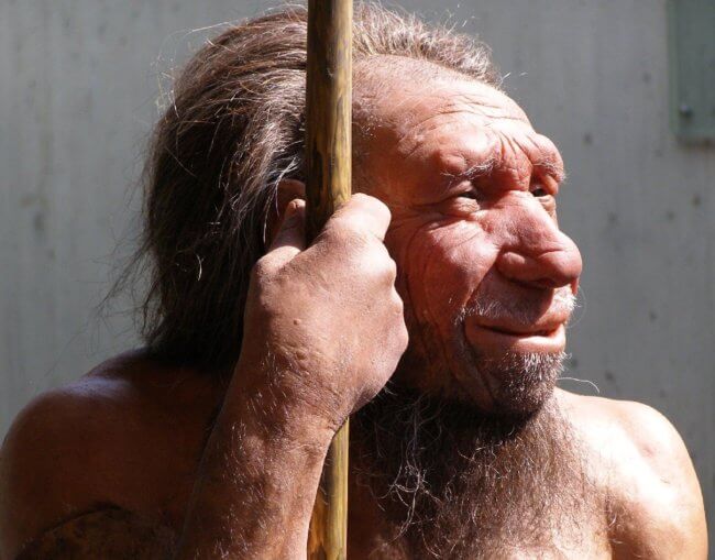 Обнаруженное захоронение неандертальцев делает их гораздо человечнее, чем мы считали ранее. Фото.