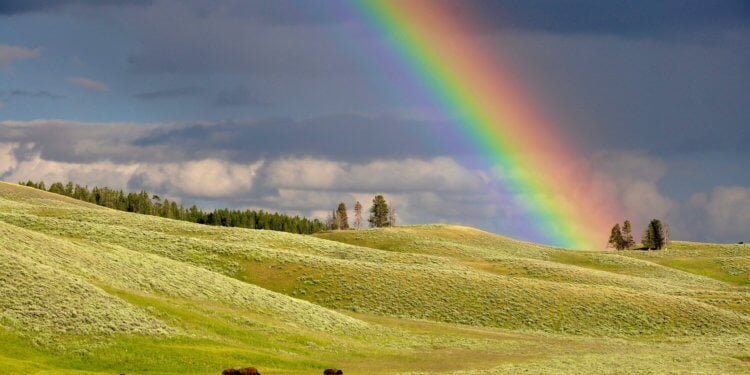 Расплетая радугу: спектр света и инфракрасное излучение. Каждый Охотник Желает Знать Где Сидит Фазан. Фото.