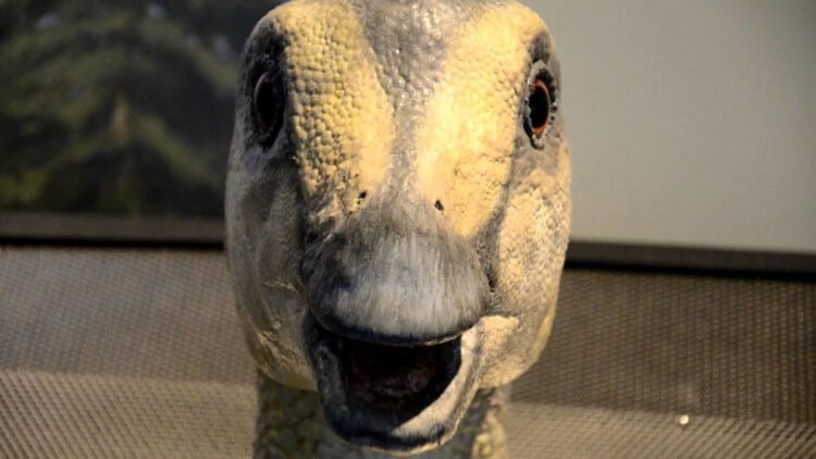 Можно ли воскресить динозавра? Изображение утконосого динозавра дает возможность понять, по каким именно причинам древняя ящерица получила свое современное название. Фото.