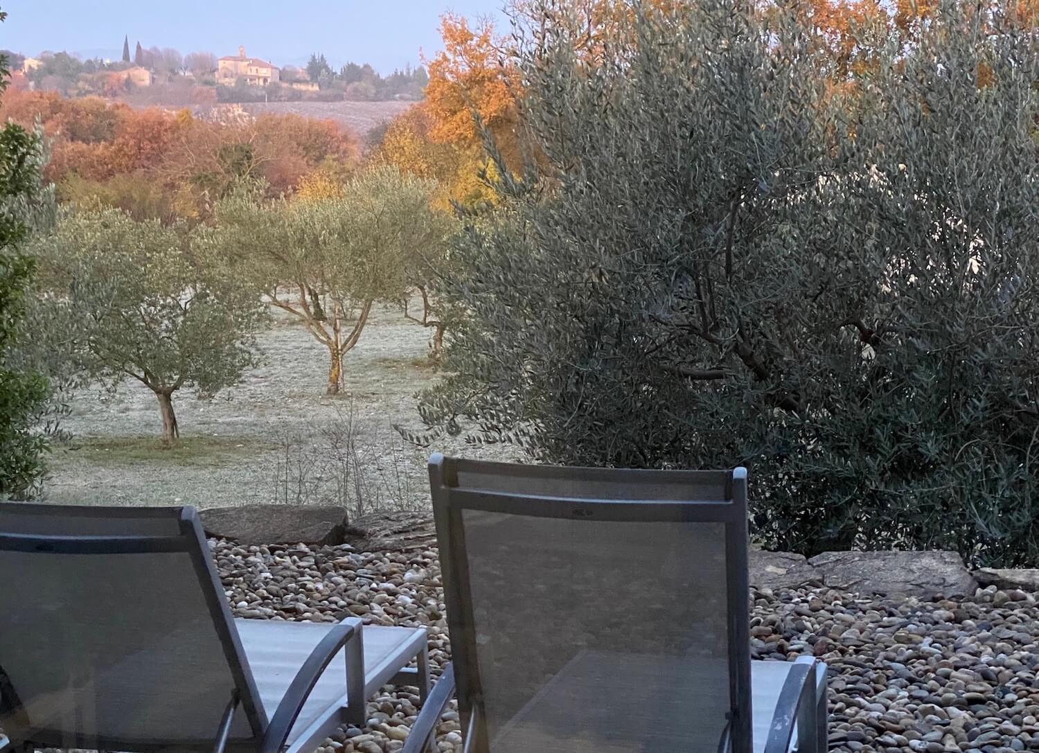 Так встречали утро во Франции — чашка кофе, виноградники под окном, все как положено. Фото.