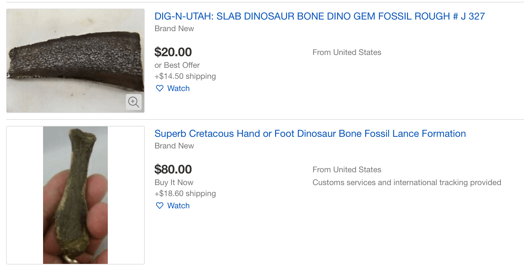 На eBay можно найти самые разные части динозавров. Фото.