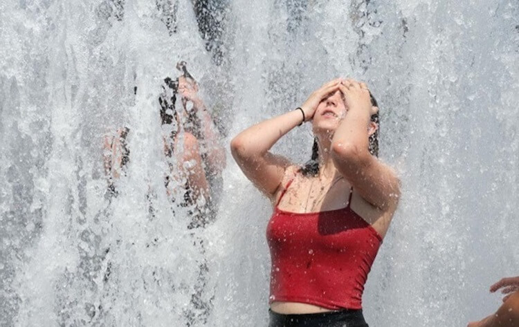 Лета ждут все, но когда оно наступит знают только метеорологи. Фото.