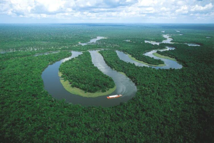 Через 50 лет леса Амазонки могут превратиться в пустыню. Удивительные леса Амазонии могут быть уничтожены уже через 50 лет. Фото.