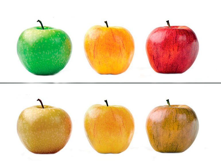 Как видят мир дальтоники? Можно ли избавиться от дальтонизма? Как видят мир дальтоники? Можно ли избавиться от дальтонизма? Фото.