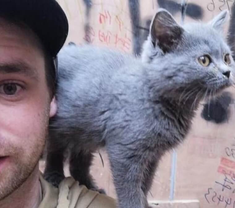 Один из первых заболевших коронавирусом рассказал, как протекала его болезнь. Коннор Рид со своим котенком. Фото.