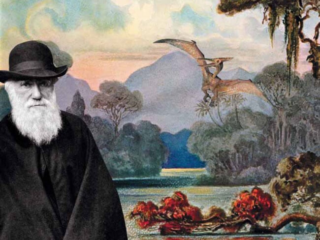 Доказана одна из эволюционных теорий Чарльза Дарвина. Фото.