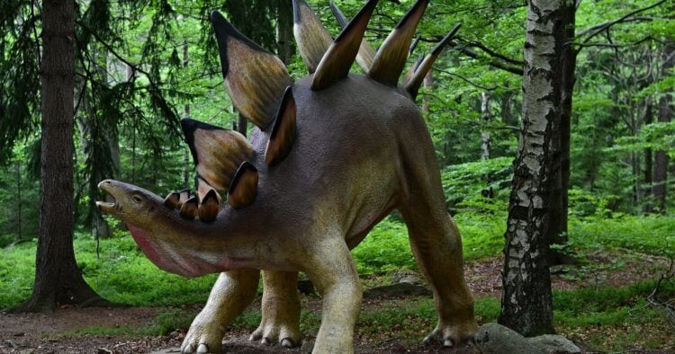 Какие динозавры жили в Шотландии? Стегозавры считаются одними из самых узнаваемых динозавров. Хотя тираннозавры, наверное, более известны. Фото.