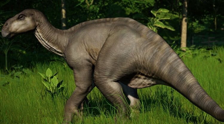 Какие динозавры жили в Шотландии? К орнитоподам относились игуанодоны, которые были способны вставать на дыбы и достигать 10-метровой высоты. Фото.