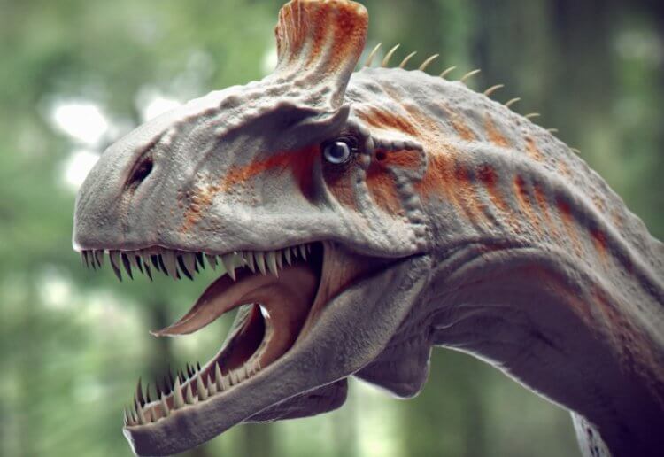 Какие динозавры жили в Шотландии? К тероподам относились криолофозавры, которые миллионы лет назад жили на территории нынешней Антарктиды. Фото.