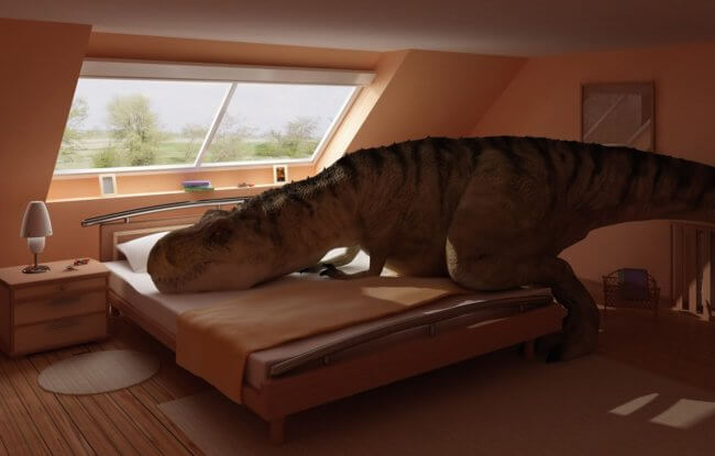 Насколько длинными были дни во времена динозавров? Фото.
