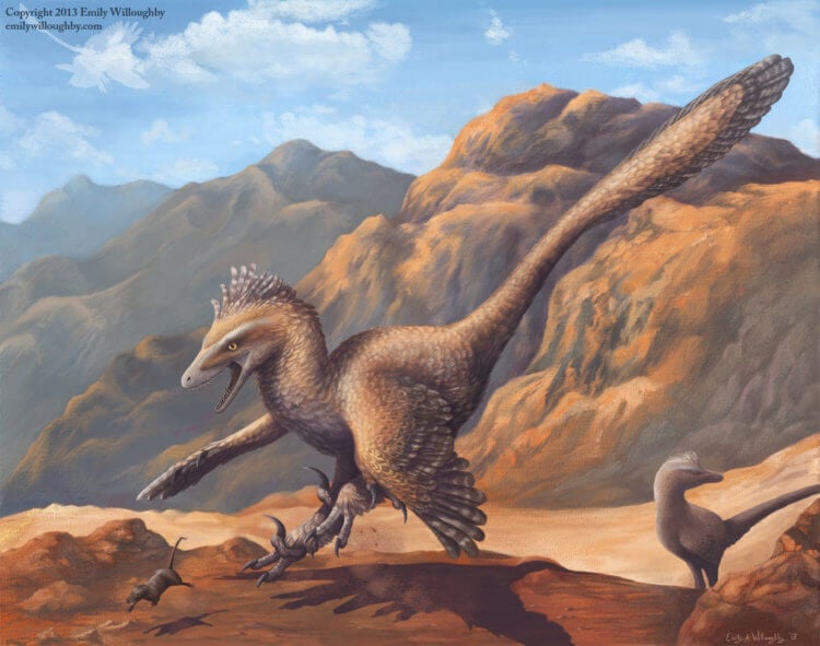 Пернатые динозавры. Ранее считалось, что велоцирапторы были покрыты чешуей, но потом выяснилось, что перьями. Фото.
