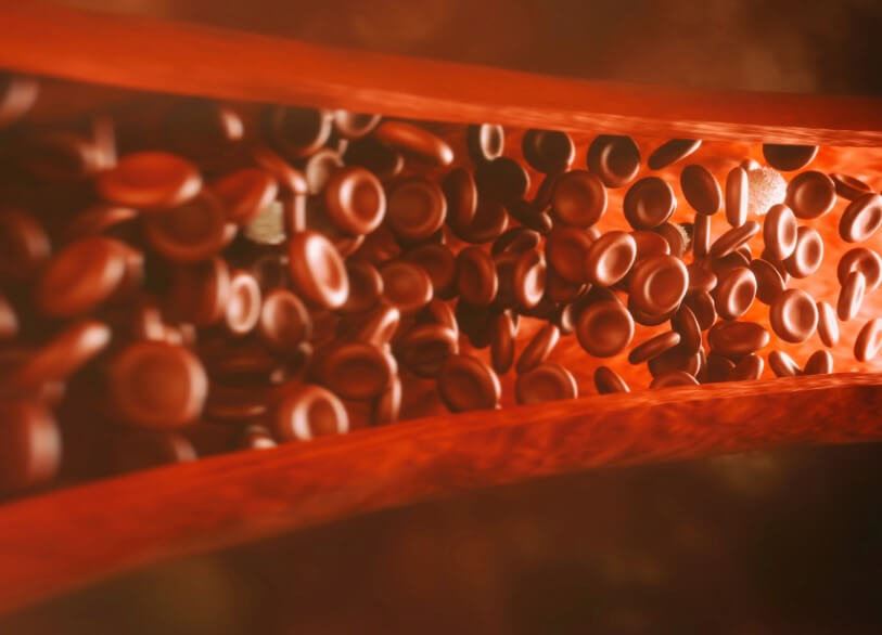 Чем опасно частое сердцебиение? От того, как хорошо работает наше сердце, зависит наше самочувствие и вся жизнь. Фото.