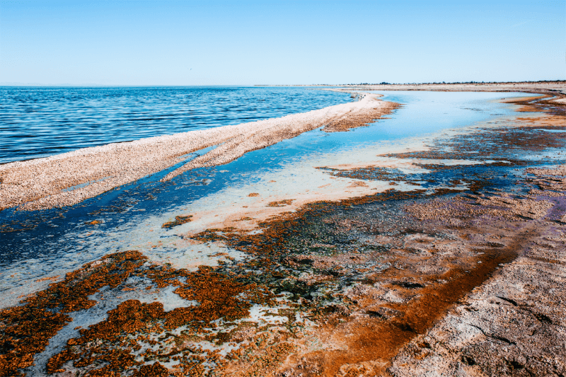 Озеро Солтон — Калифорнийское “Мертвое море”, содержащее в себе огромные запасы лития. Фото.