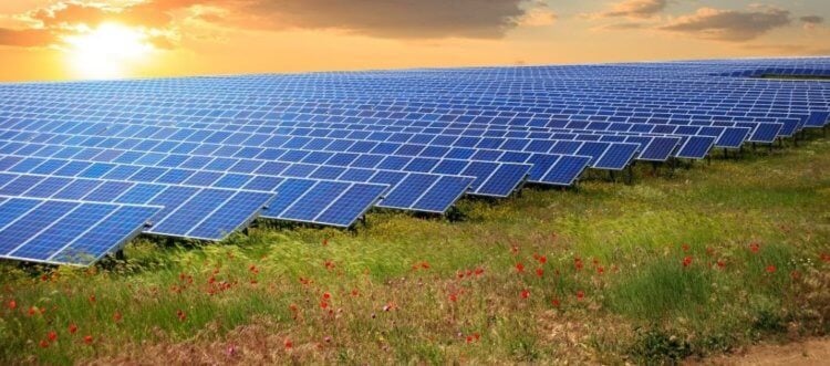 Зачем Австралия собирается продавать Азии солнечный свет? Проект новой австралийской солнечной фермы позволит вырабатывать более 10 гигаватт энергии. Фото.