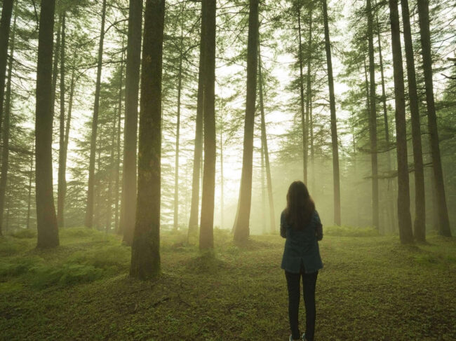 10 минут ежедневного пребывания на природе помогают снизить тревогу и беспокойство. Фото.