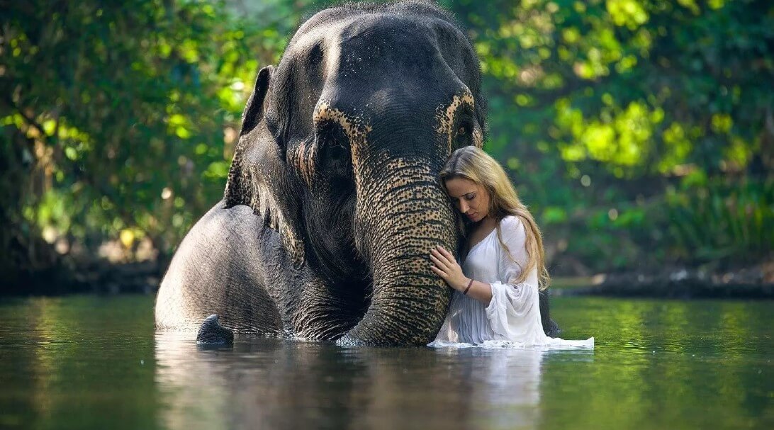 Женщины живут дольше мужчин — это правило действует даже в мире животных. Фото.