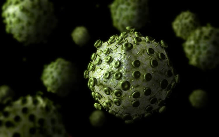 Вакцинация людей. Так выглядит вирус оспы. Фото.