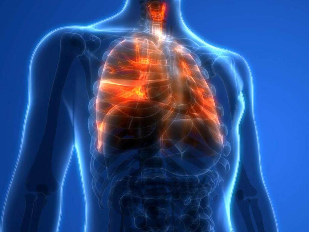 Коронавирус сильно влияет на легкие, поэтому тяжело больных подключают к аппаратам ИВЛ. Фото.