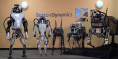 Роботы Boston Dynamics помогают в борьбе с коронавирусом в США. Фото.
