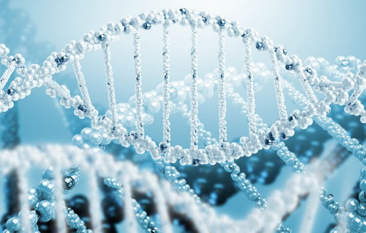 Как и для чего делают ДНК тест? ДНК есть у всех живых организмов. Фото.