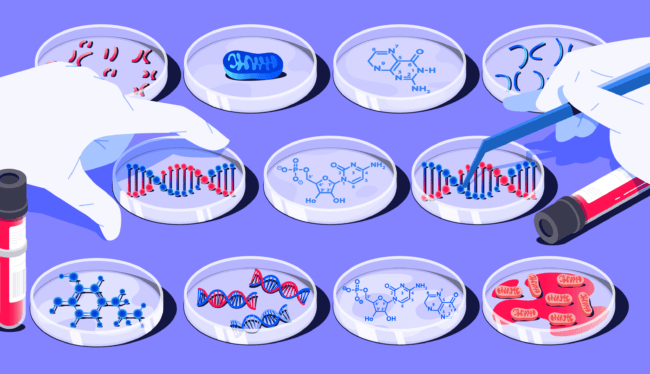 Что такое тест ДНК, как его делают и для чего он нужен? Фото.