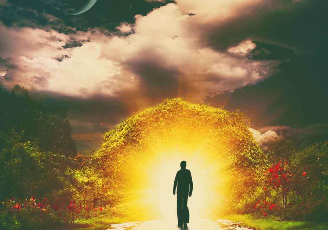 Что такое жизнь? Чем больше мы узнаем, тем сложнее становится ответить на этот вопрос. Фото.