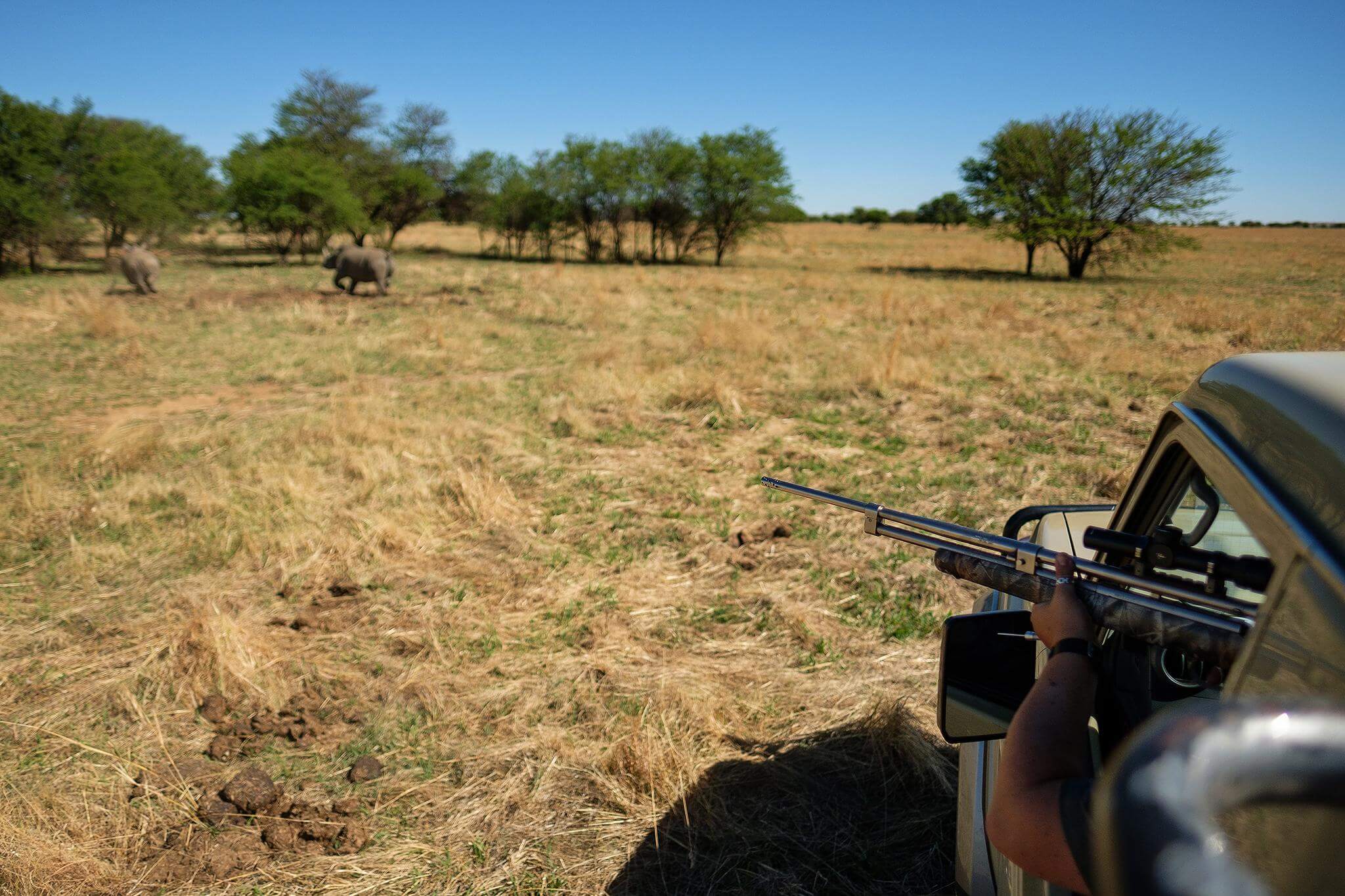 Не знаю почему люди решили, что наш вид важнее других. Фото.