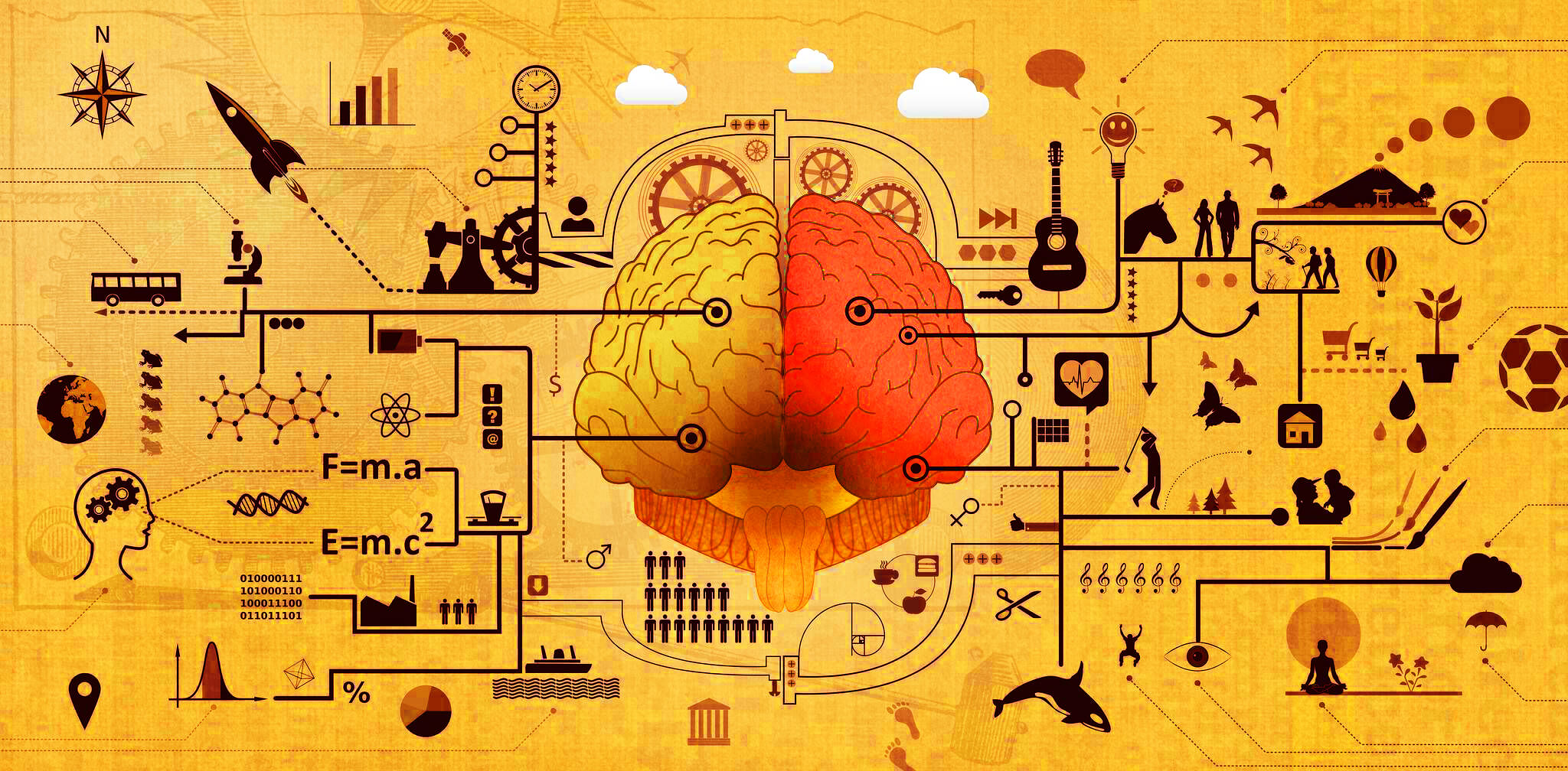 Ученые ищут сознание в мозге человека, пытаясь ответить на вечный вопрос – как появилось сознание и где оно обитает. Фото.