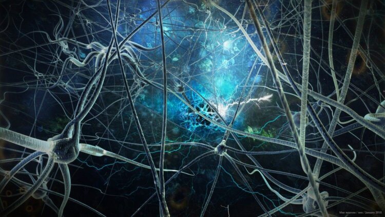 Как связаны внимание и сознание? В мозге человека насчитывается порядка 65 миллионов нейронов. Фото.