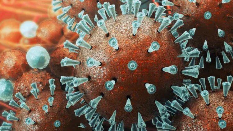 Самостоятельное измерение уровня кислорода в крови может спасти вас от смерти при коронавирусе. Как выяснилось, COVID-пневмония может представлять большую угрозу, чем мы думали. Фото.