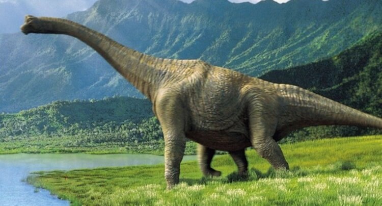 Миллионы лет назад эти красавцы умирали и дошли до нас в виде нефти. Фото.