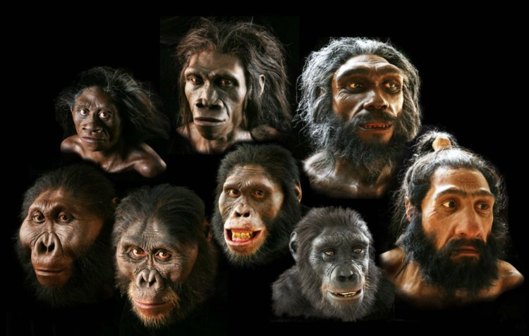 Произошел ли человек от обезьяны? Все живые существа на нашей планете связаны между собой. Фото.