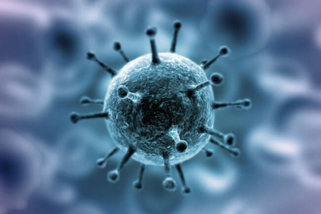 Что происходит в организме, когда его атакует коронавирус? Фото.
