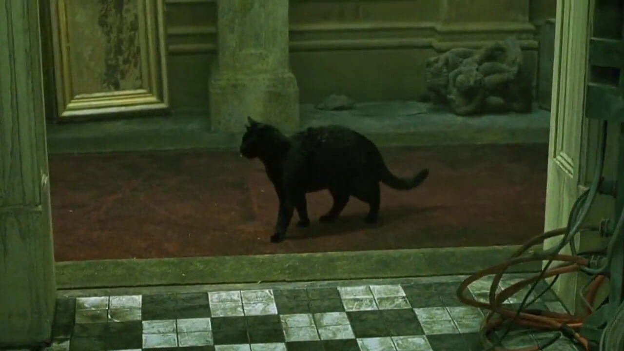 Сбой в Матрице выглядит так. Фото.