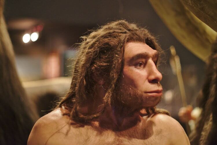 neanderthalensis eats image one