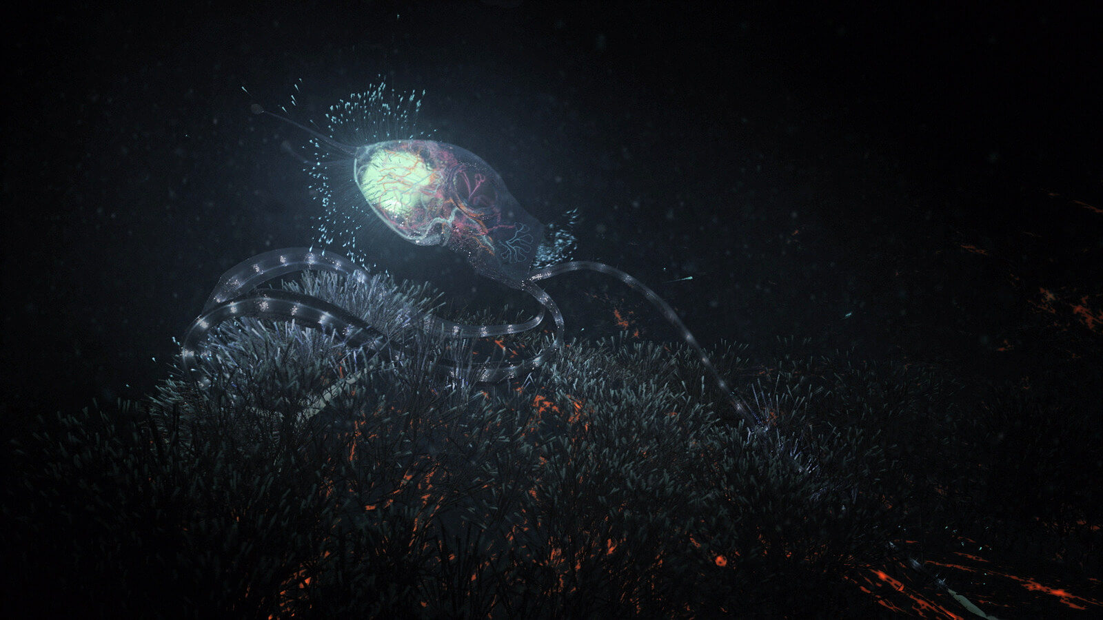 Жизнь на спутнике Юпитера. Кто знает, что плавает под ледяными глыбами лун газовых гигантов. Фото.